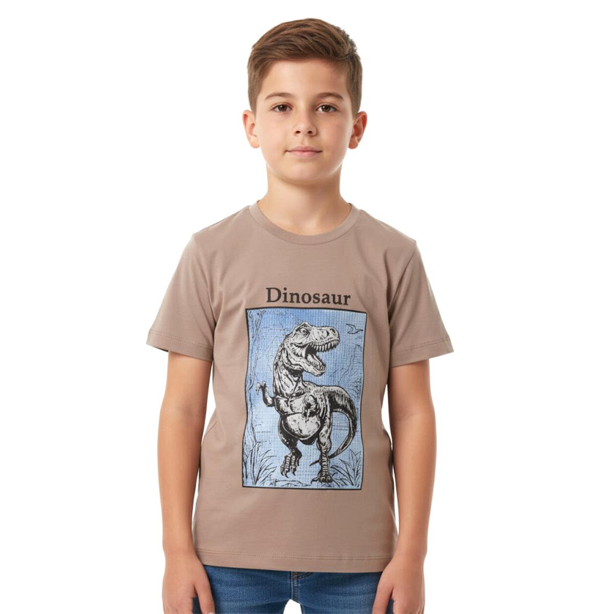 تیشرت آستین کوتاه پسرانه -  